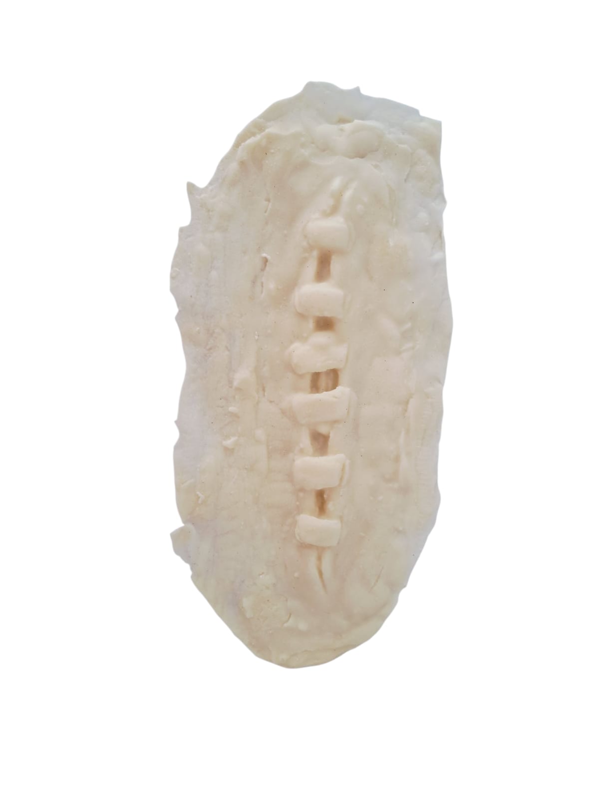 Herida cocida. Prostético Látex